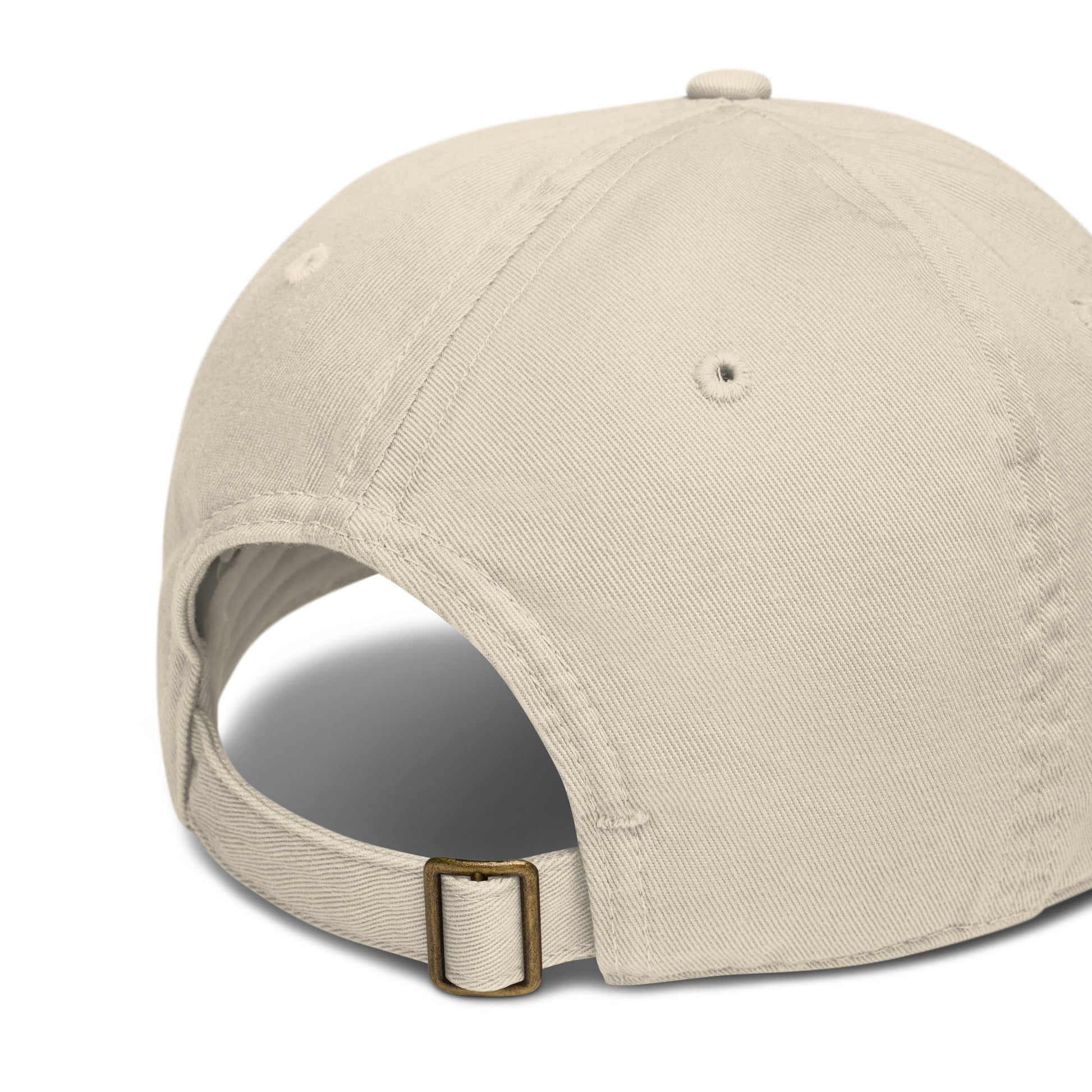 Organic dad hat Dudeily
