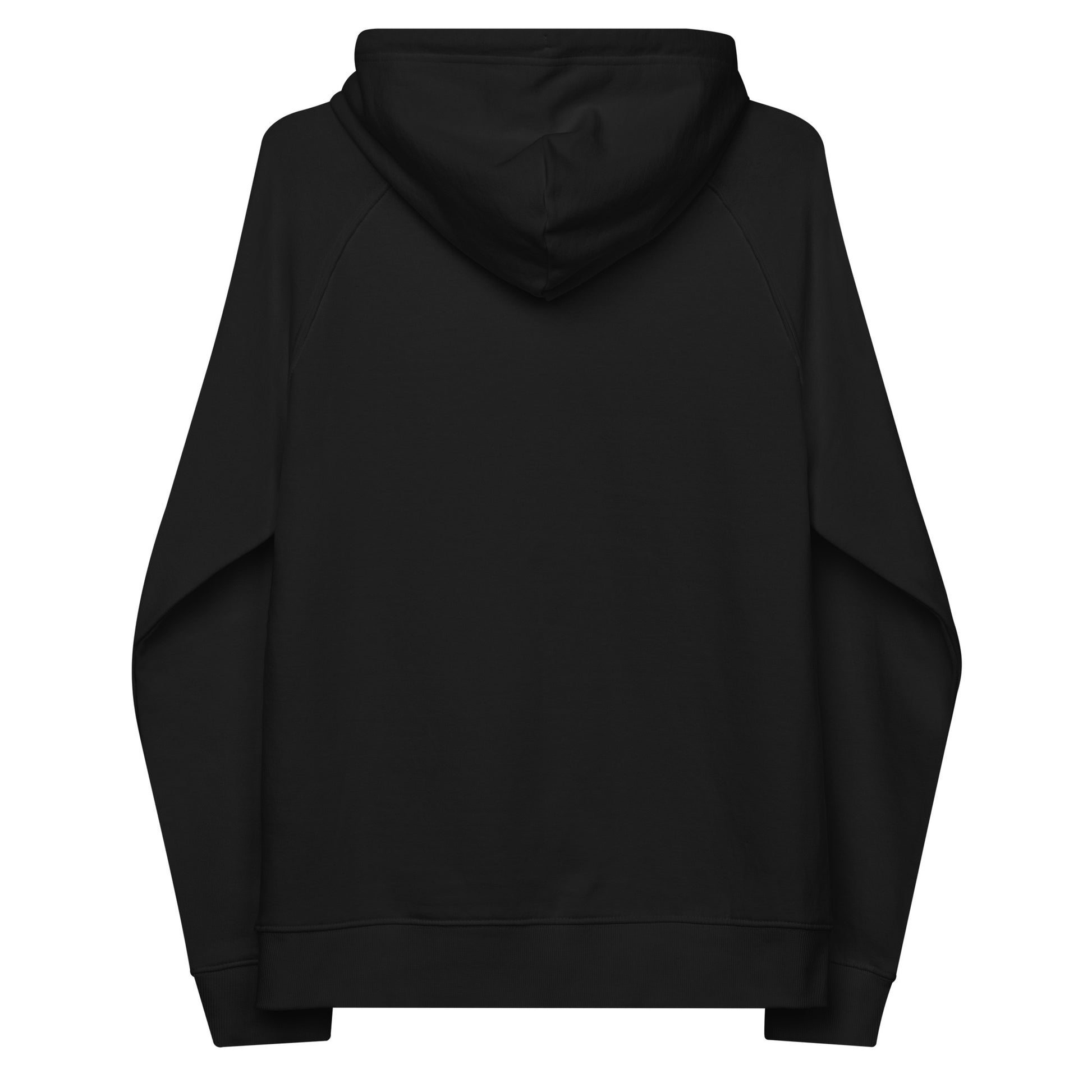 Owl Unisex Eco Raglan Hoodie – "Ethics in Every Feather" | Sustainable Fashion Dudeily