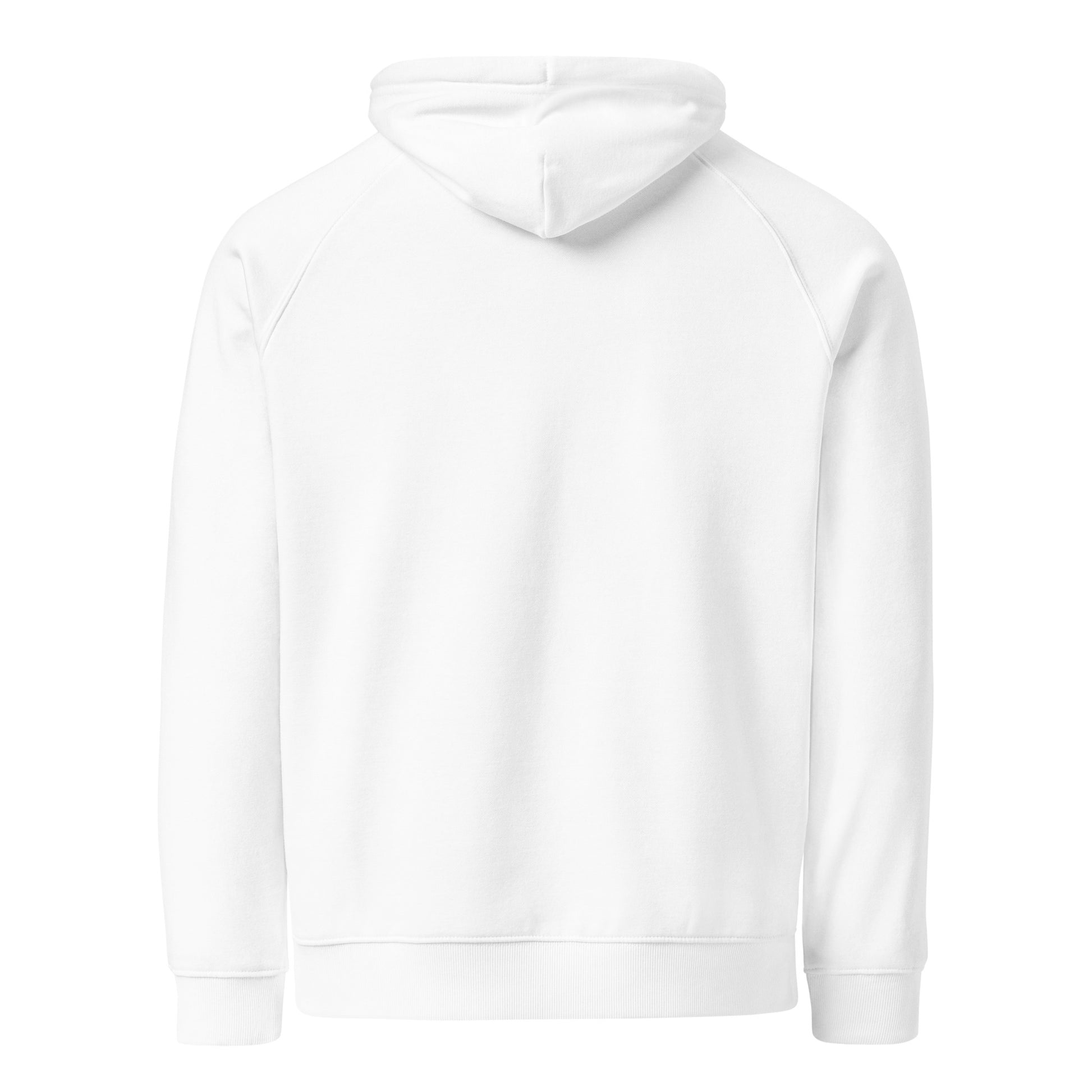 Owl Unisex Eco Raglan Hoodie: 'Wisdom Flies Light' in Fall | Sustainable Fashion Dudeily