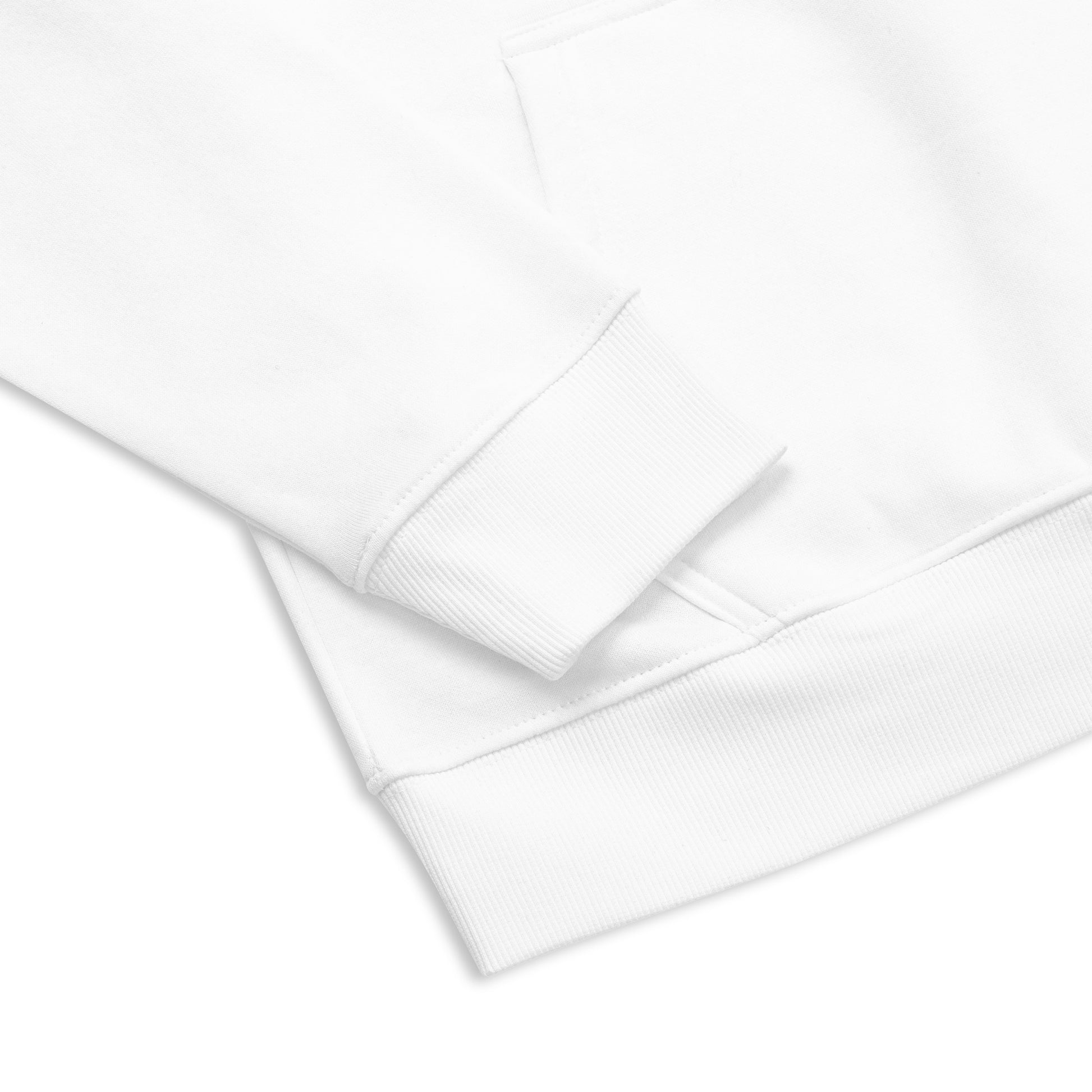 Unisex eco raglan hoodie Dudeily