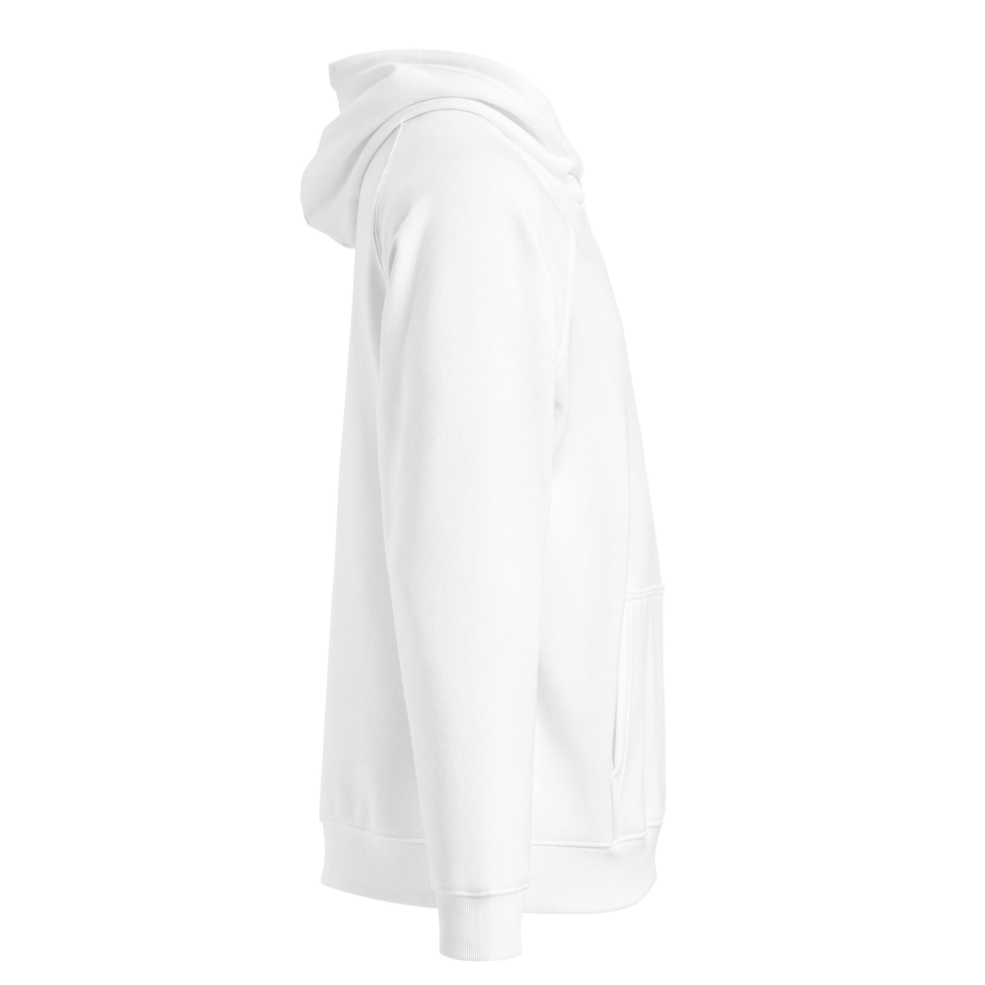 Owl Unisex Eco Raglan Hoodie: 'Wisdom Flies Light' in Fall | Sustainable Fashion Dudeily
