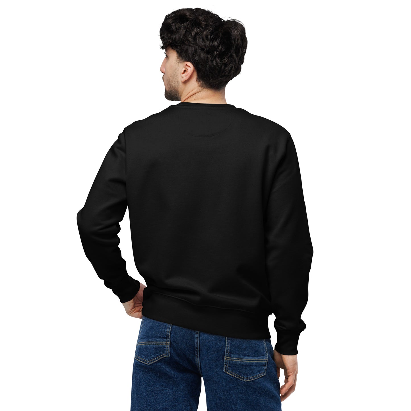 Unisex Eco Sweatshirt "Awaken Gently" – Embroidered Eco-Friendly Owl Clothing Dudeily