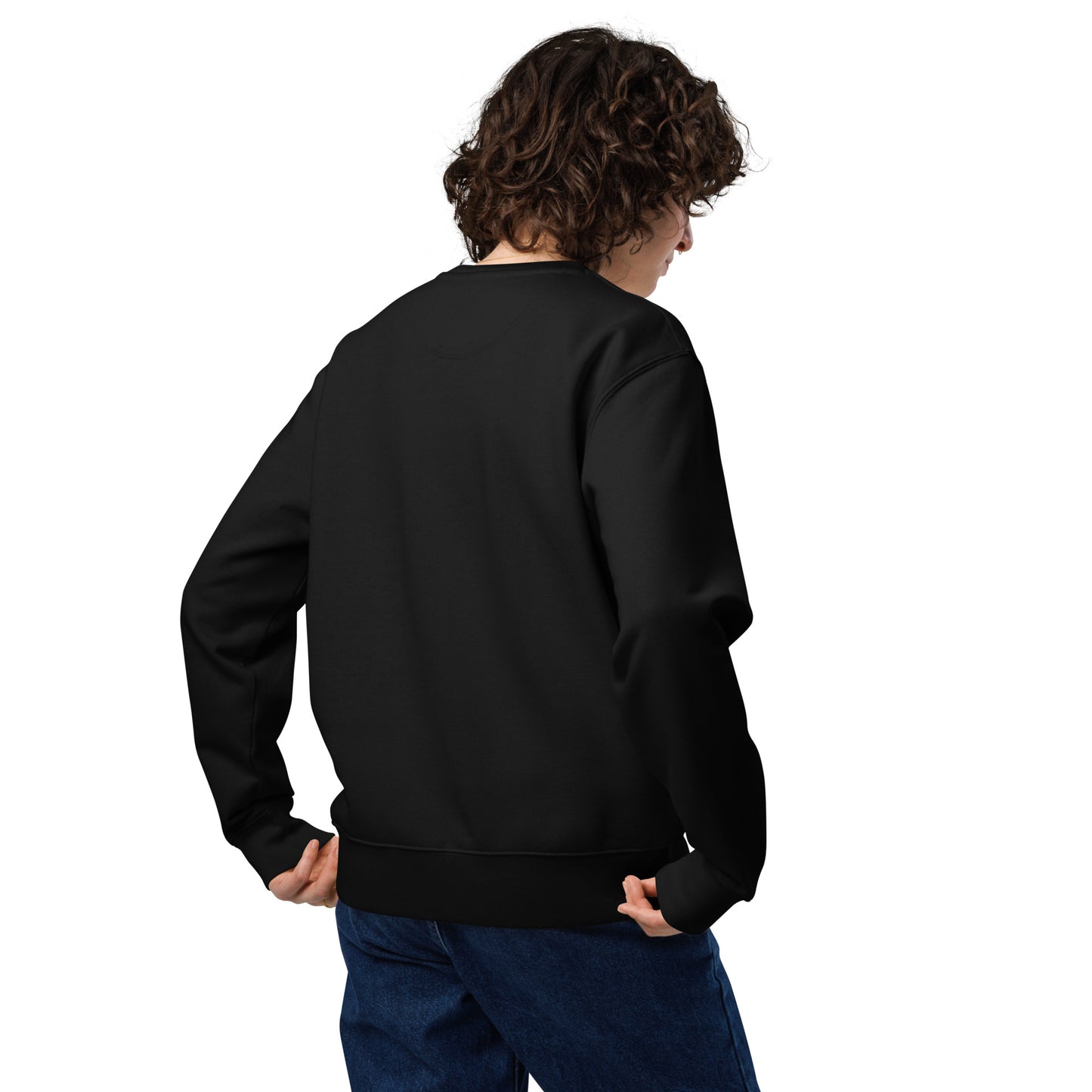 Unisex Eco Sweatshirt "Awaken Gently" – Embroidered Eco-Friendly Owl Clothing Dudeily
