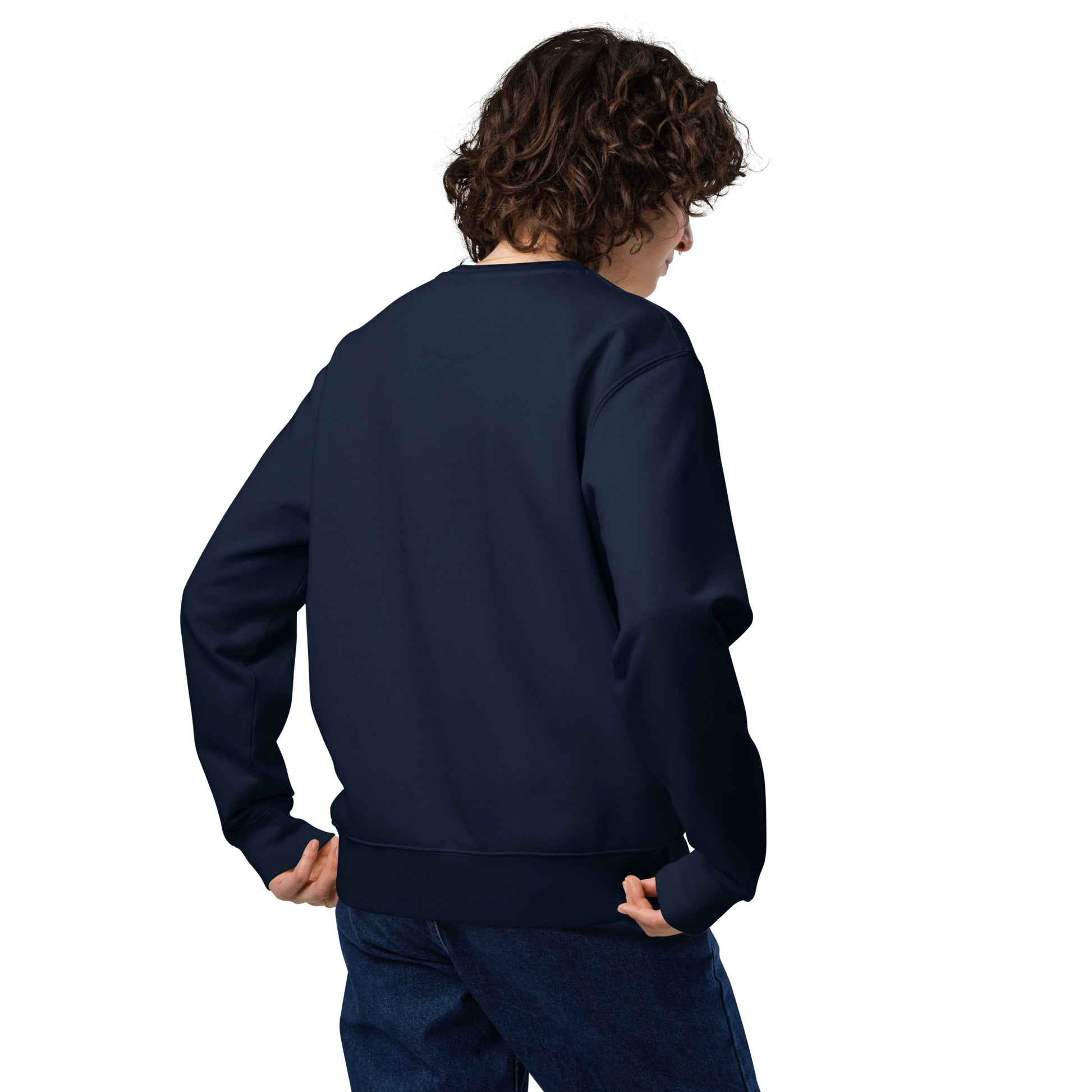 Unisex Eco Sweatshirt "Awaken Gently" – Embroidered Eco-Friendly Owl Clothing Dudeily