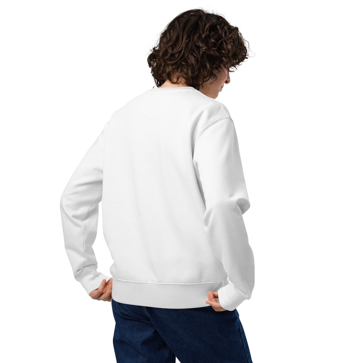 Unisex Eco Sweatshirt: 'Ethics in Every Feather' | Eco-Friendly Owl Apparel USA Dudeily