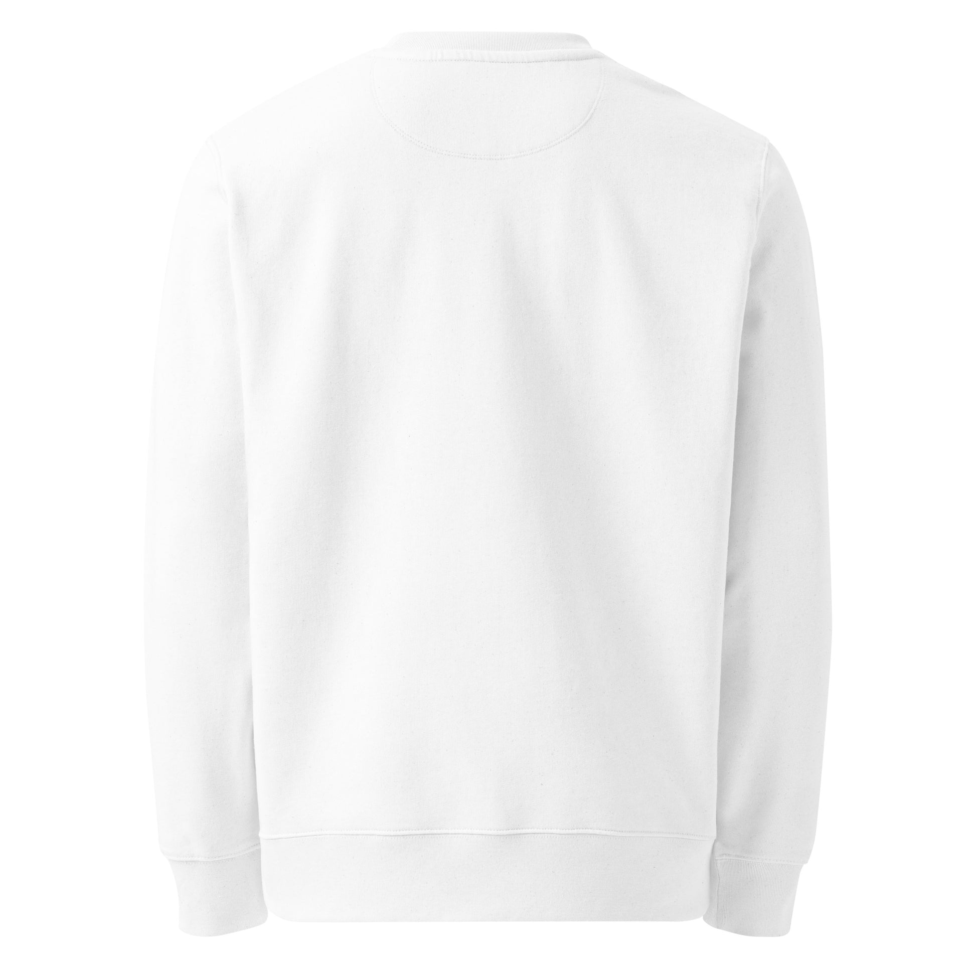 Unisex eco sweatshirt Dudeily