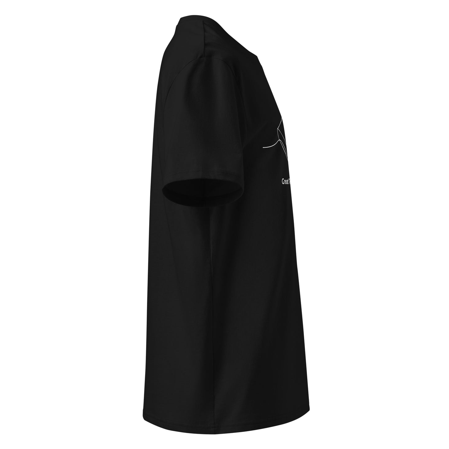 Unisex organic cotton t-shirt Dudeily