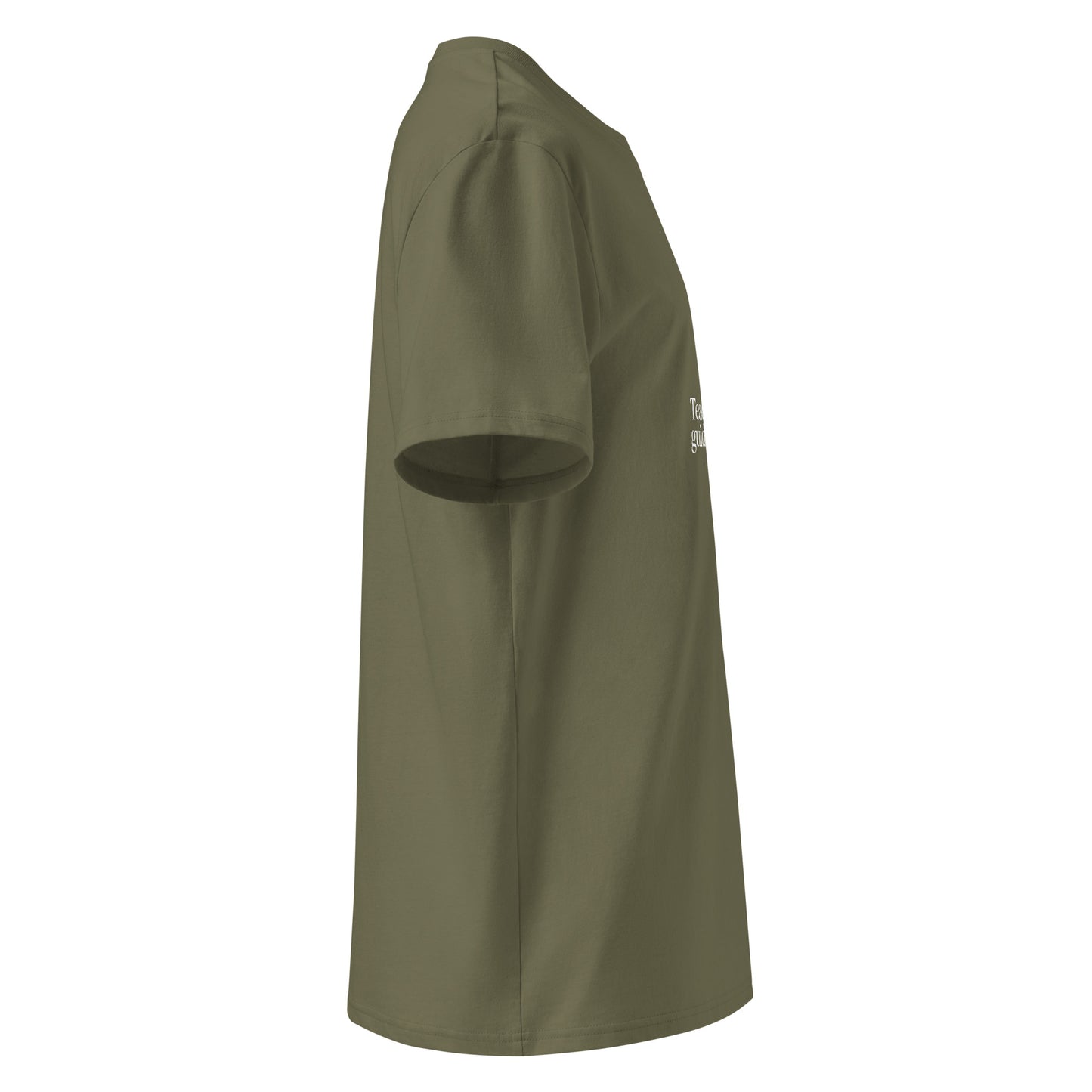 Unisex organic cotton t-shirt Dudeily