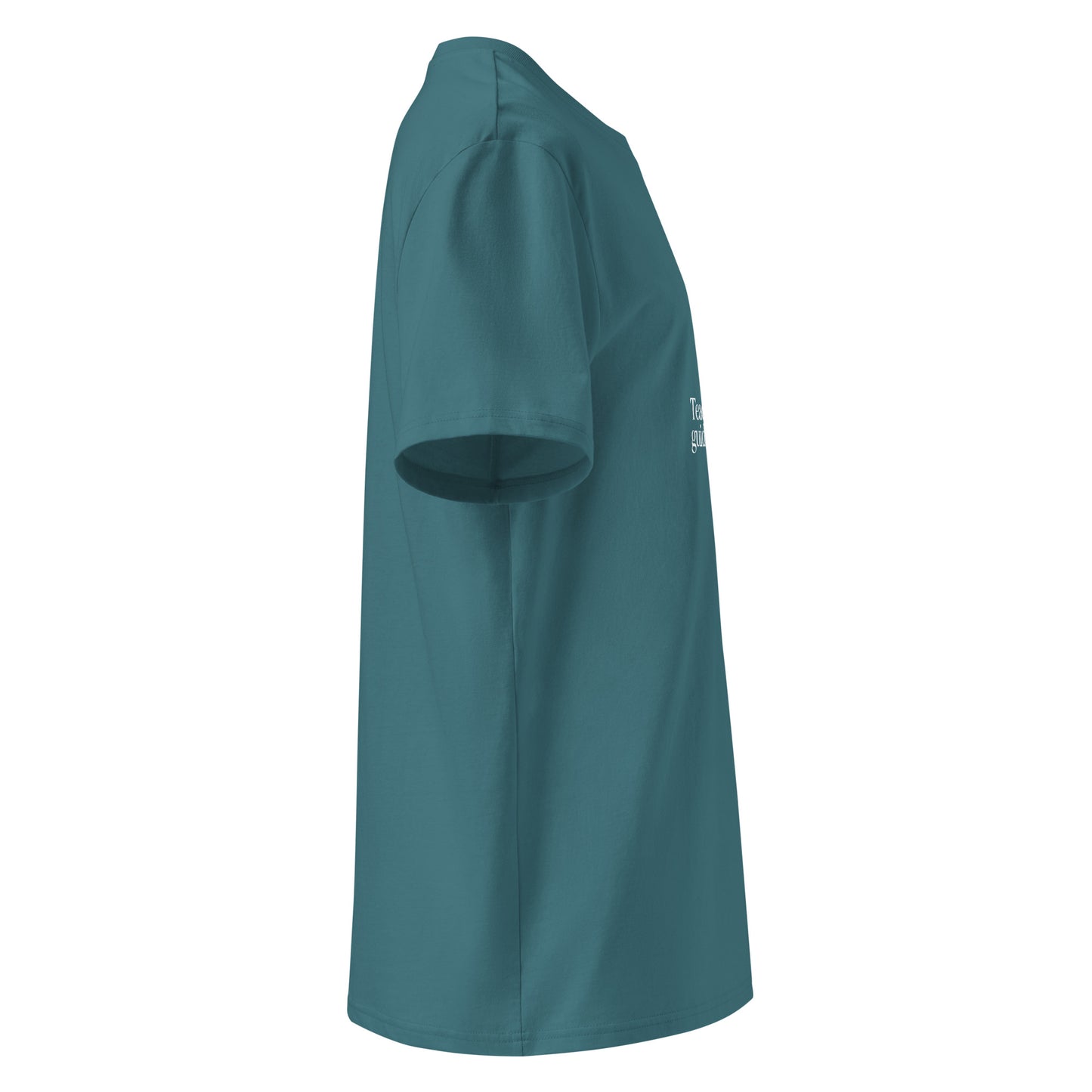 Unisex organic cotton t-shirt Dudeily