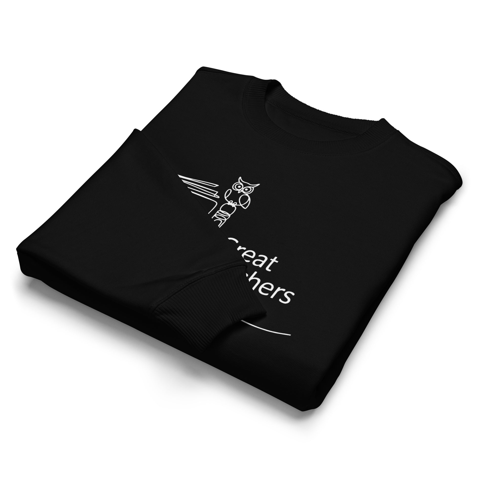 Unisex organic oversized sweatshirt Dudeily