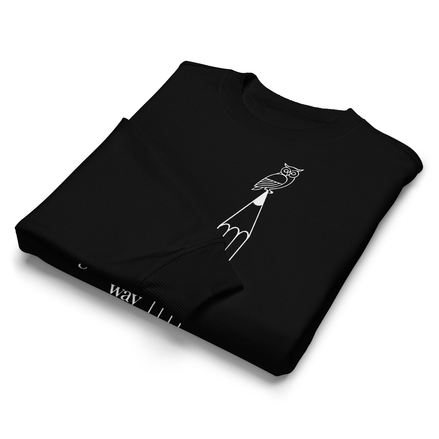 Unisex organic oversized sweatshirt Dudeily