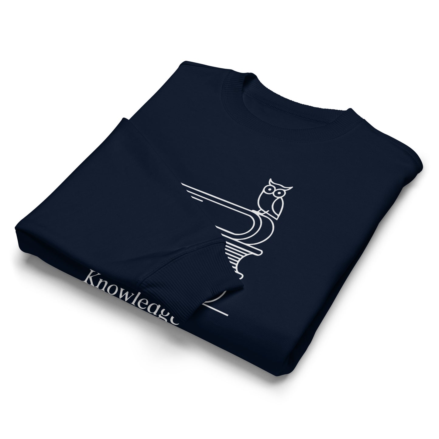 Unisex organic oversized sweatshirt Dudeily