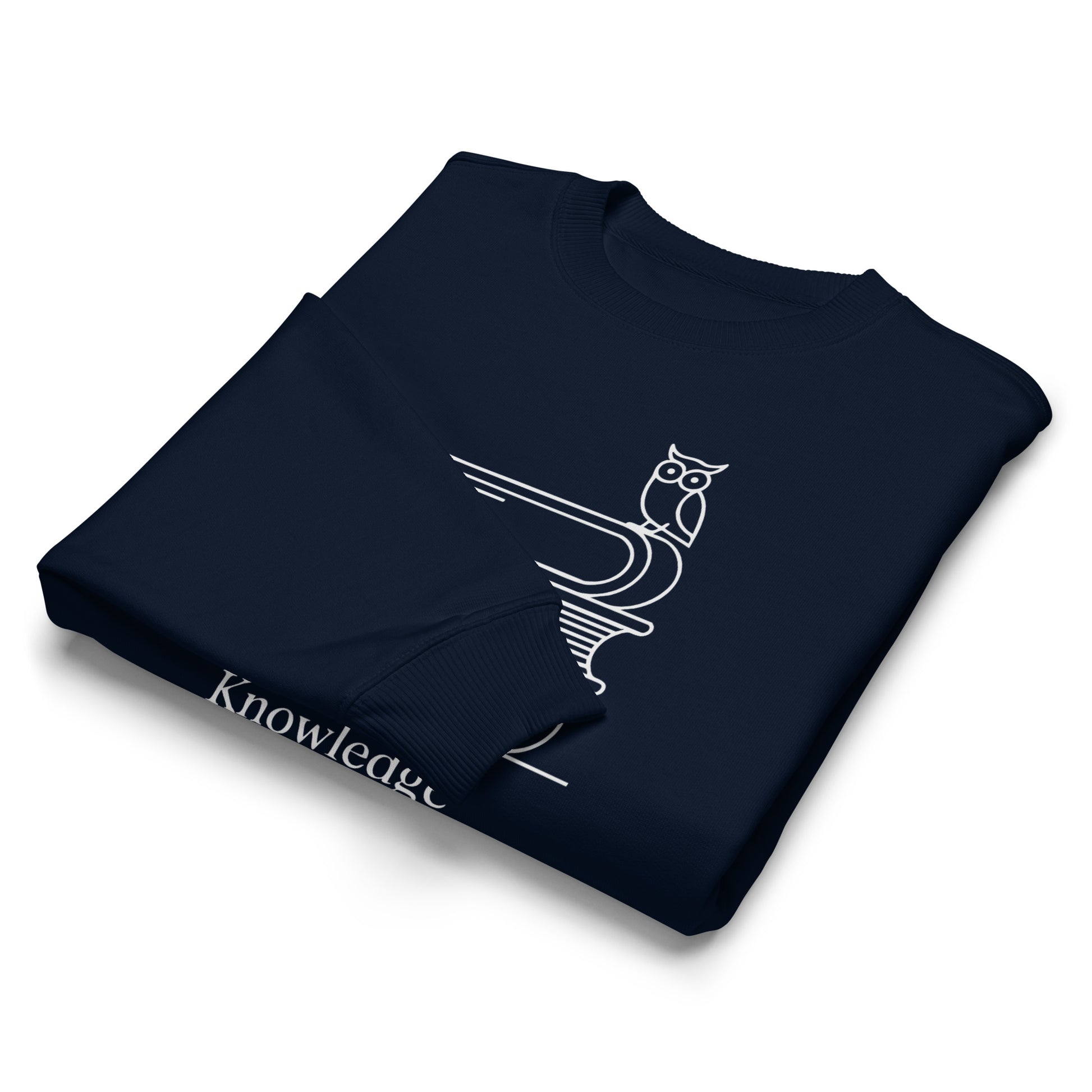 Unisex organic oversized sweatshirt Dudeily