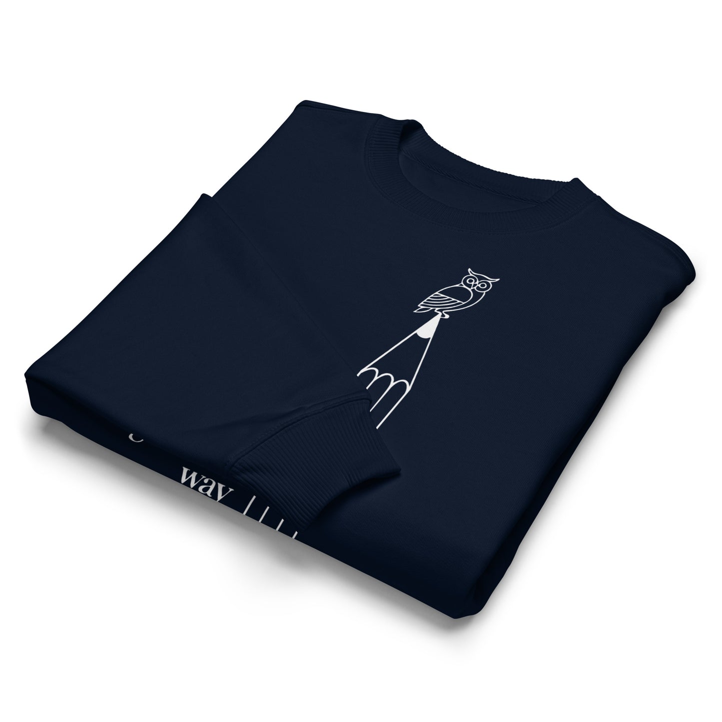 Unisex organic oversized sweatshirt Dudeily