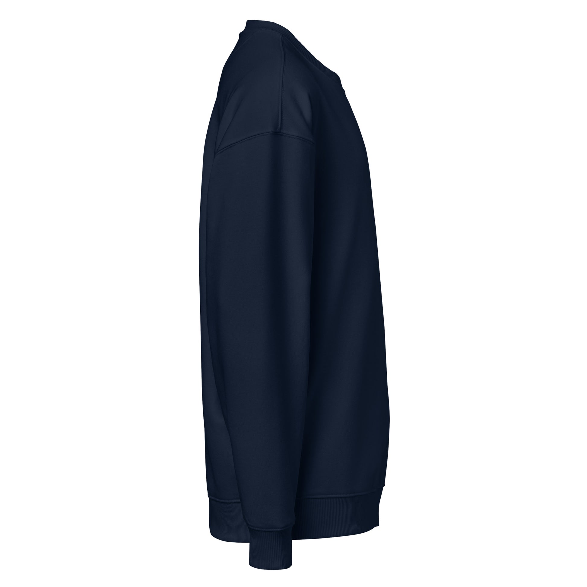 Owl Unisex Organic Oversized Sweatshirt: 'Eyes of the Earth' in Fall | Sustainable Fashion USA Dudeily
