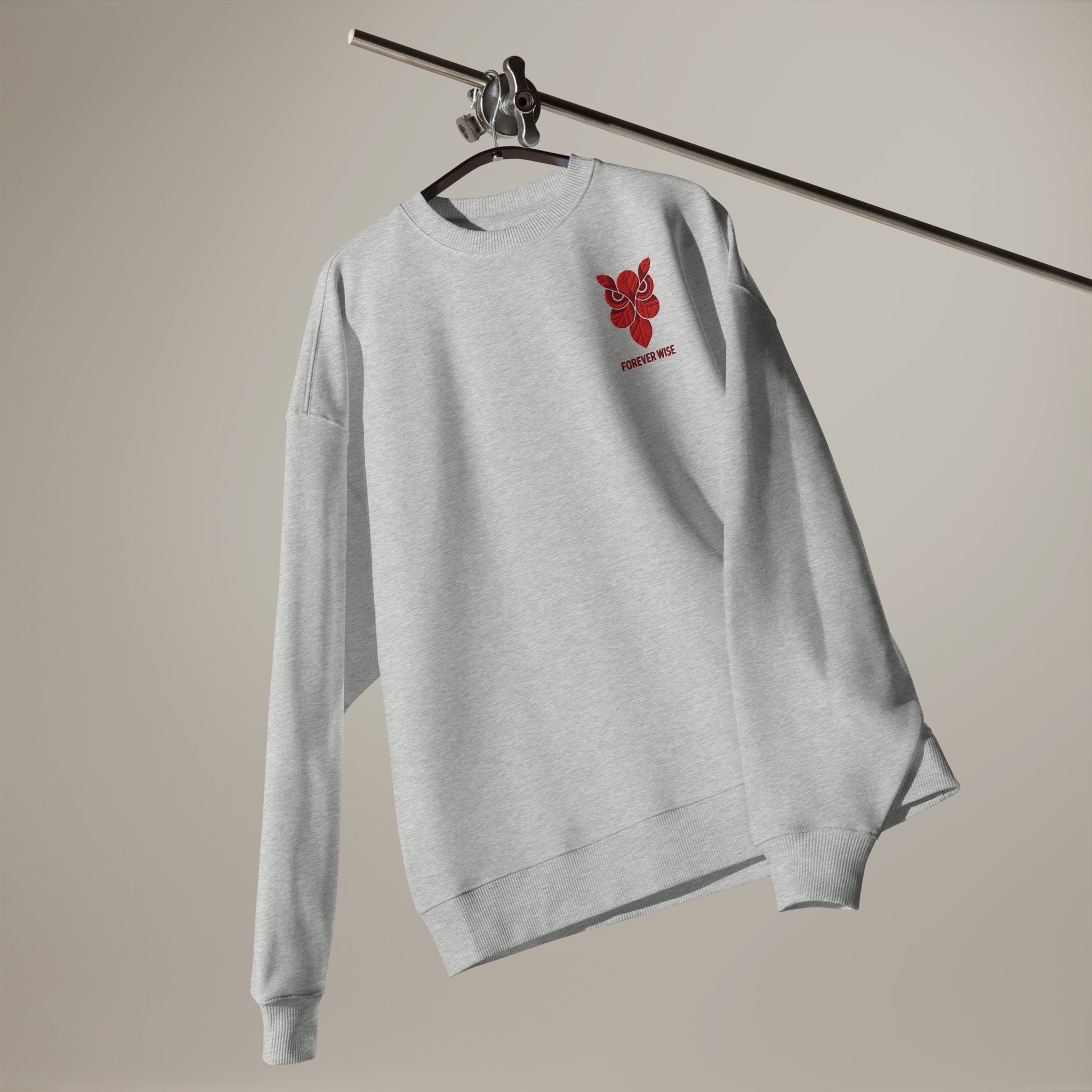 Owl Unisex Organic Oversized Sweatshirt: 'Forever Wise' in Fall | Sustainable Fashion USA Dudeily