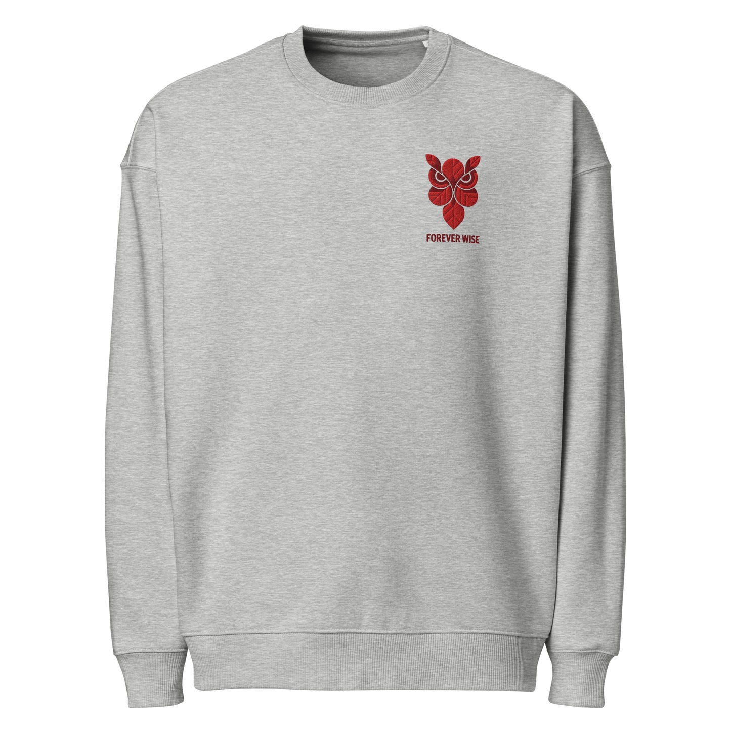 Owl Unisex Organic Oversized Sweatshirt: 'Forever Wise' in Fall | Sustainable Fashion USA Dudeily