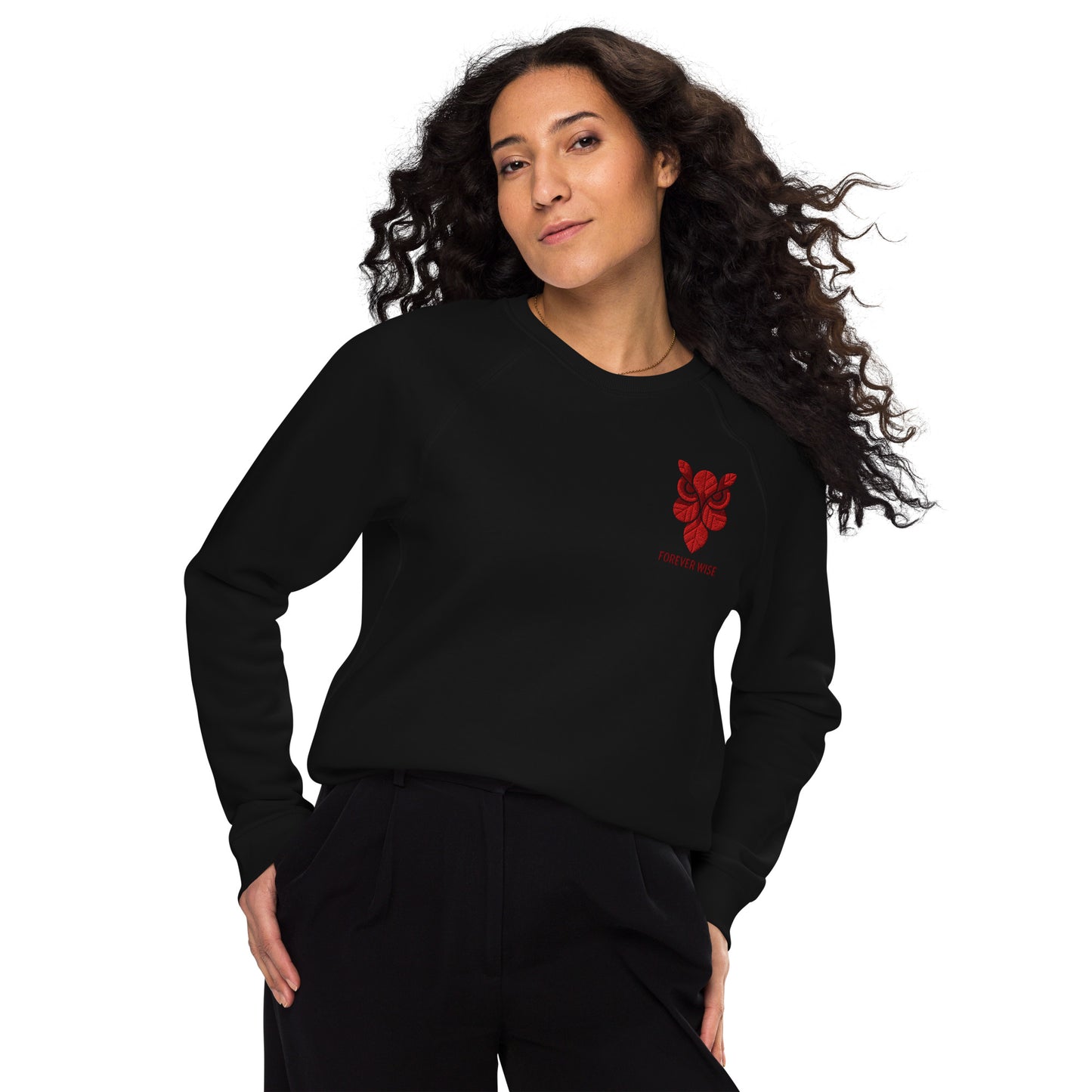 Owl Unisex Organic Raglan Sweatshirt: 'Forever Wise' in Fall | Sustainable Fashion USA Dudeily