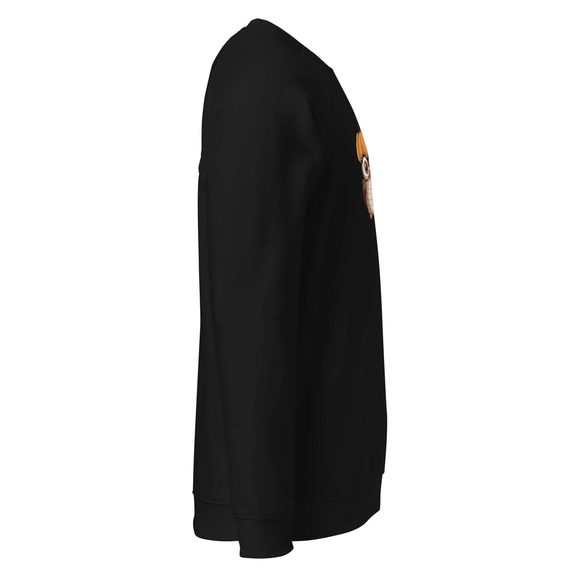 Unisex Organic Raglan Sweatshirt: Halloween Owl Eco-Friendly USA Dudeily