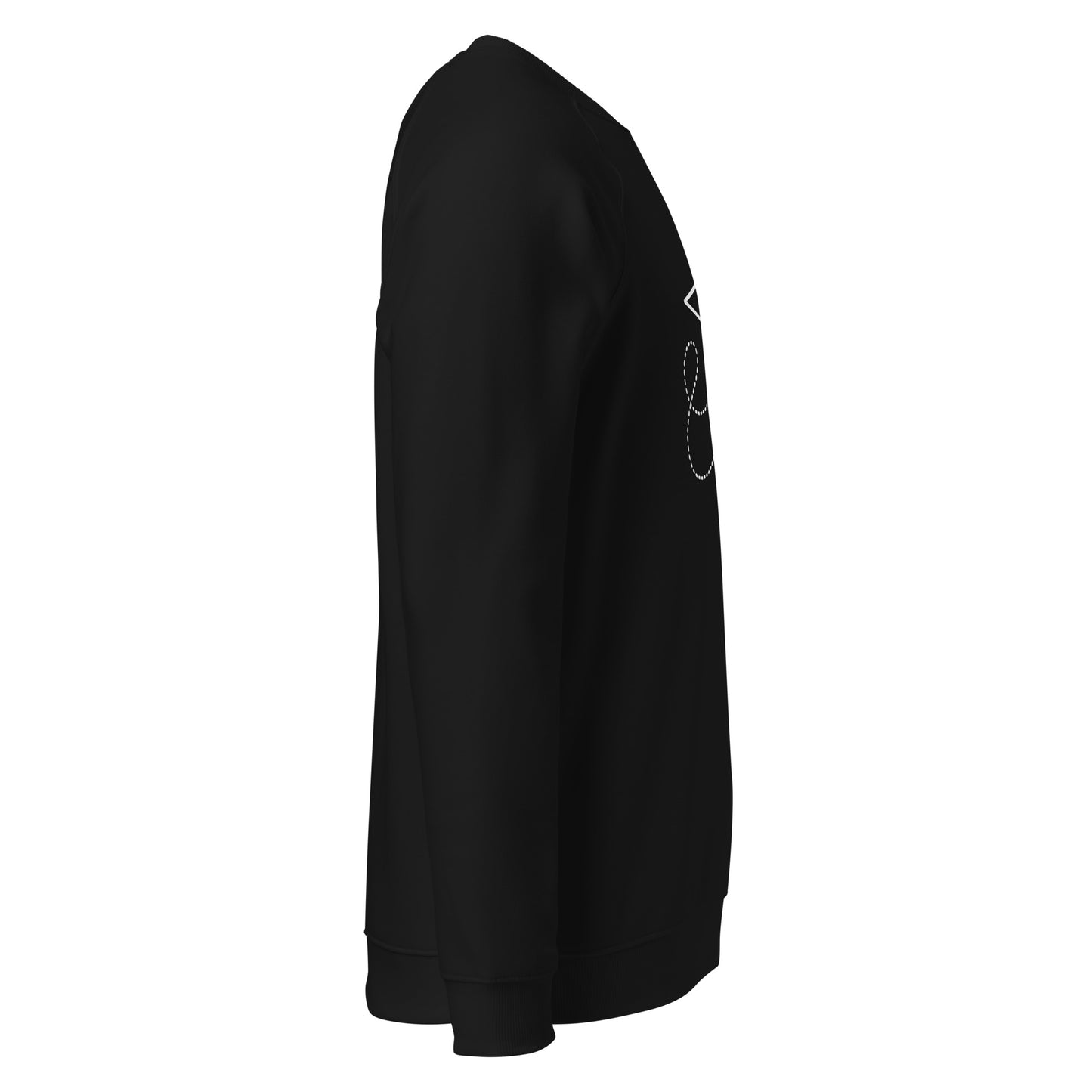 Unisex organic raglan sweatshirt Dudeily