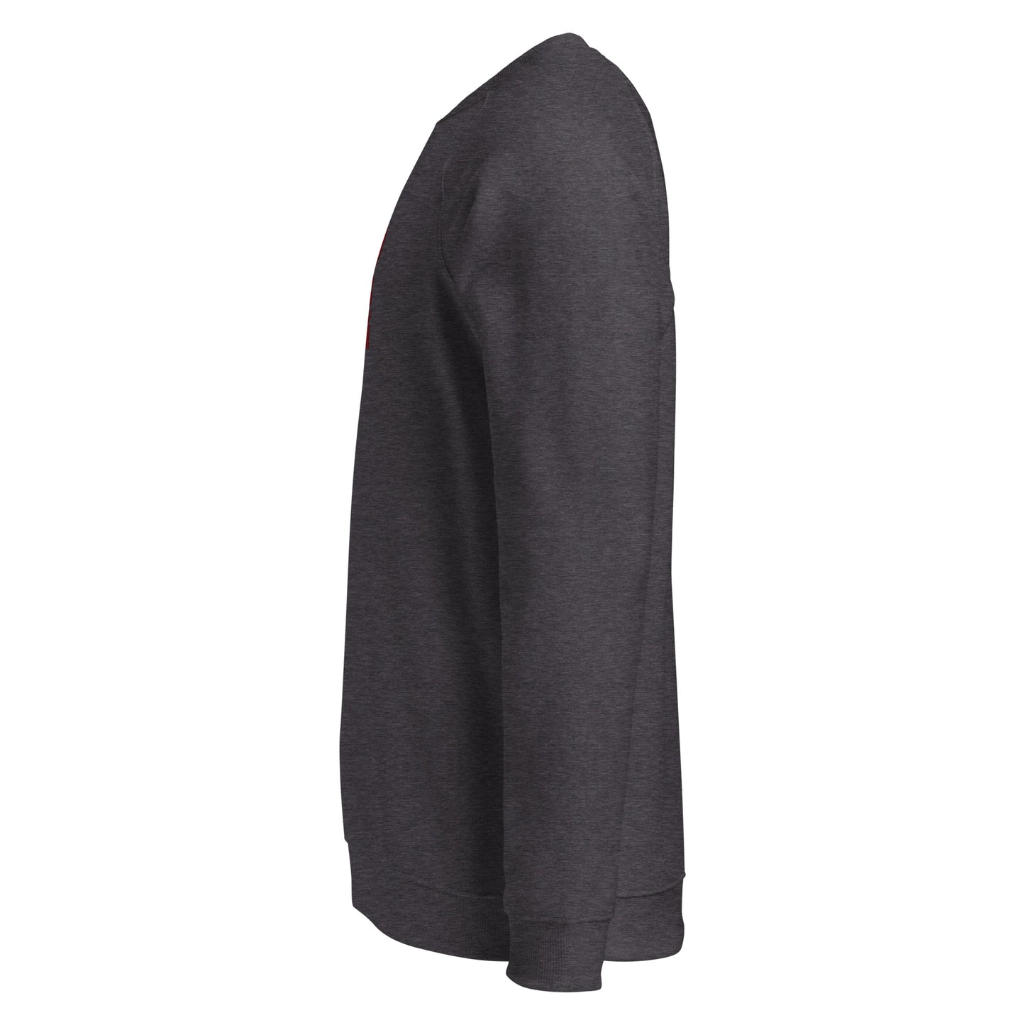 Owl Unisex Organic Raglan Sweatshirt: 'Eyes of the Earth' in Fall | Sustainable Fashion USA Dudeily