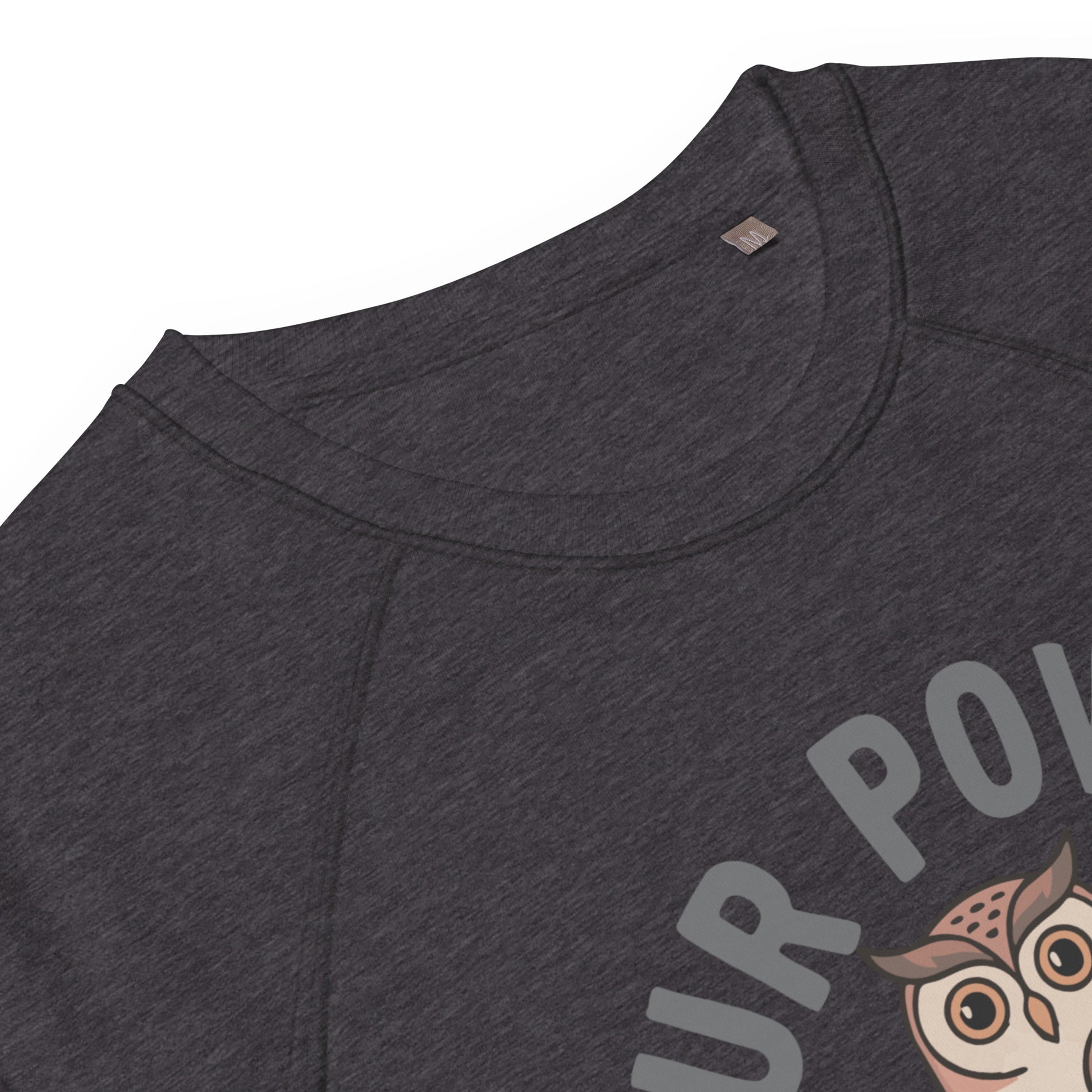 Unisex organic raglan sweatshirt Dudeily
