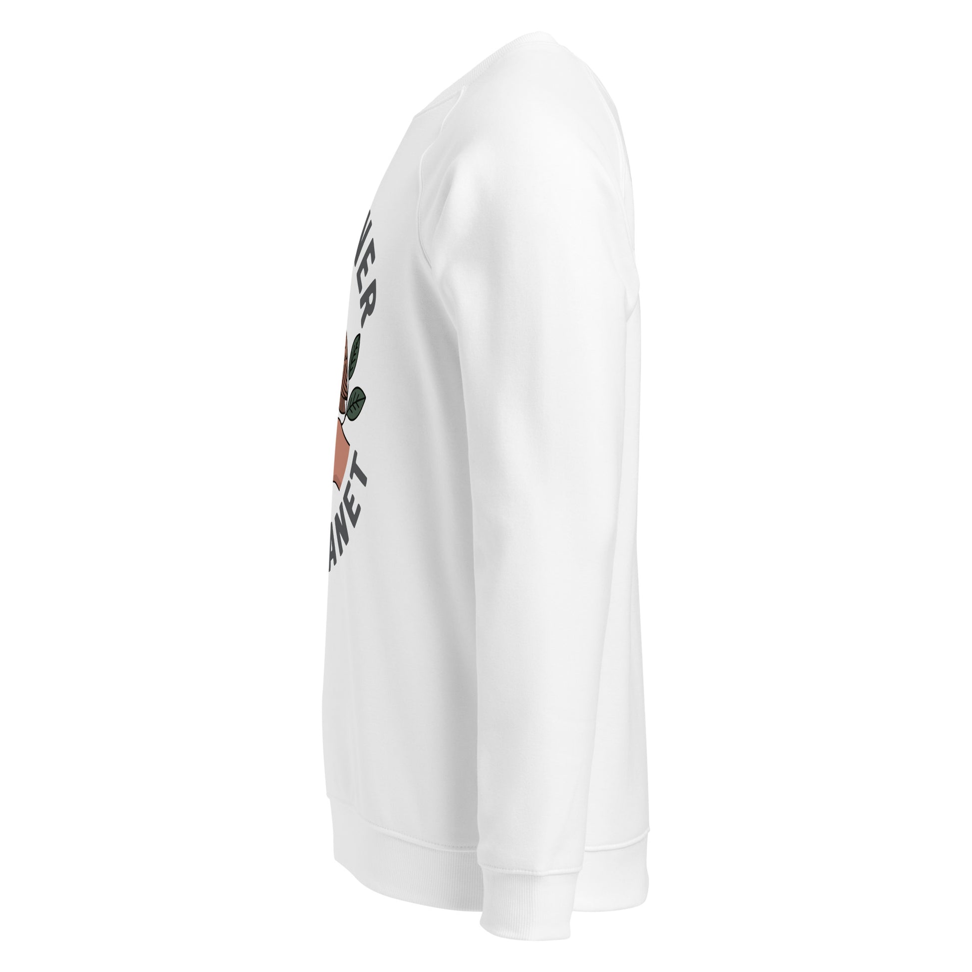 Unisex organic raglan sweatshirt Dudeily