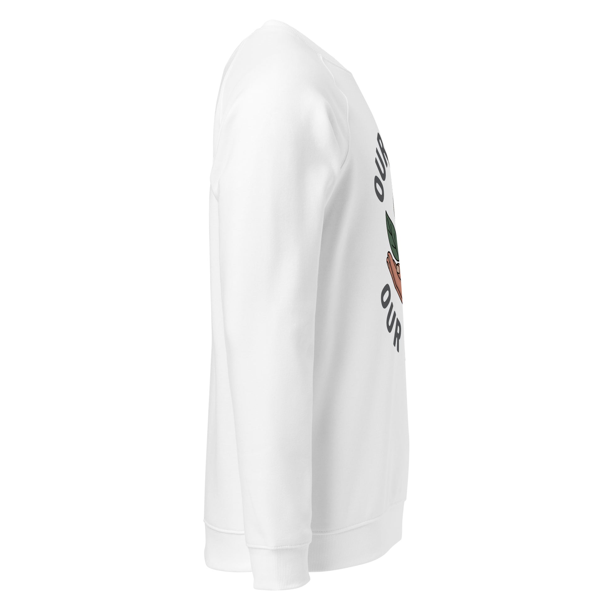Unisex organic raglan sweatshirt Dudeily