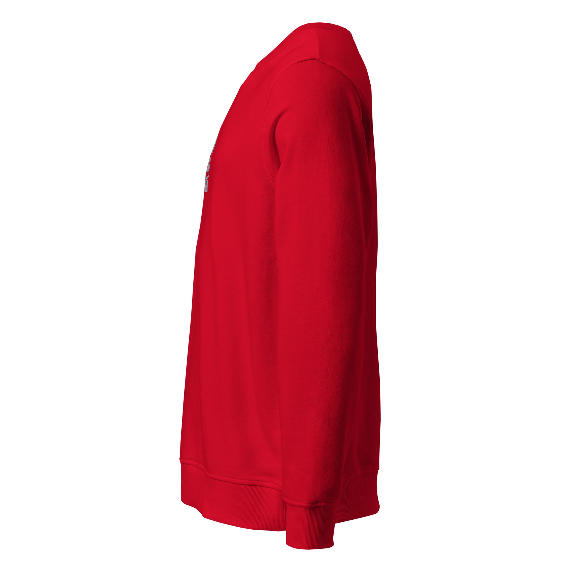 Owl Unisex Organic Sweatshirt: 'Eyes of the Earth' in Fall | Sustainable Fashion USA Dudeily