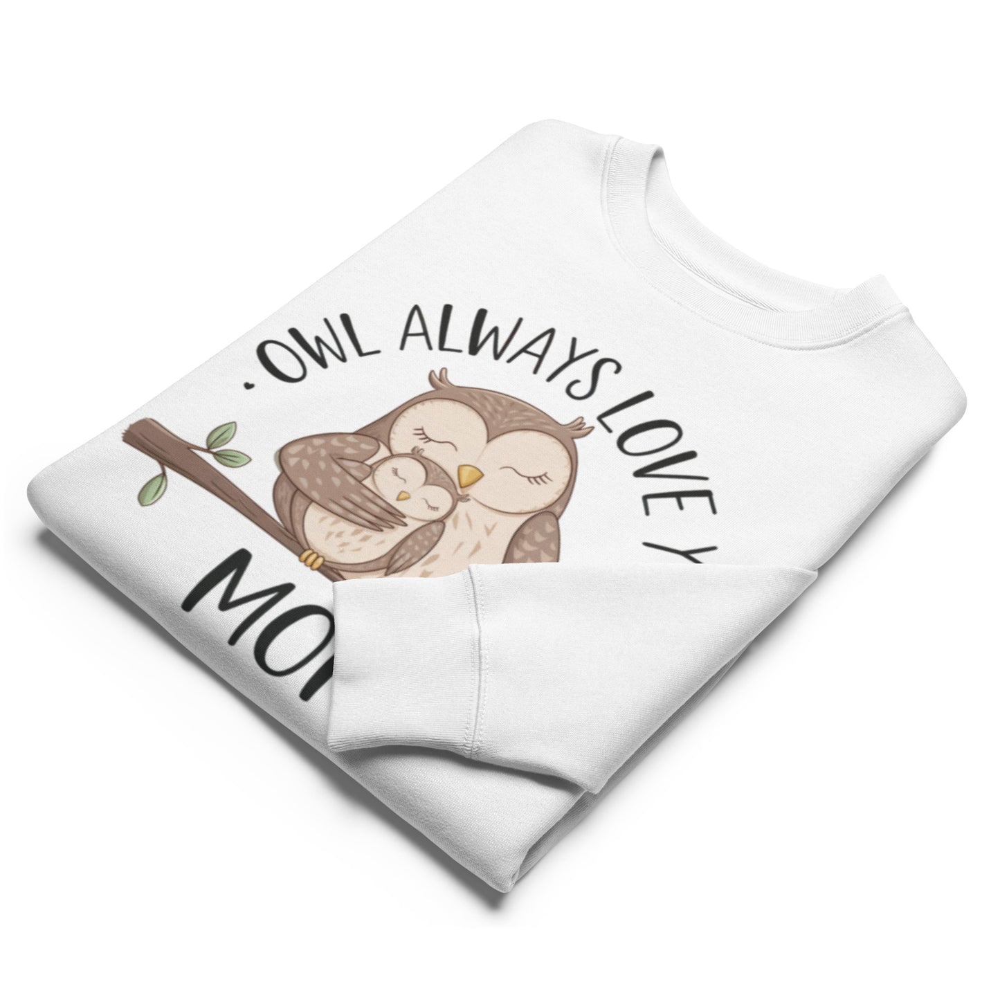 Unisex Organic Sweatshirt – Owl-Themed Eco-Friendly Pullover for Nature Lovers White Dudeily