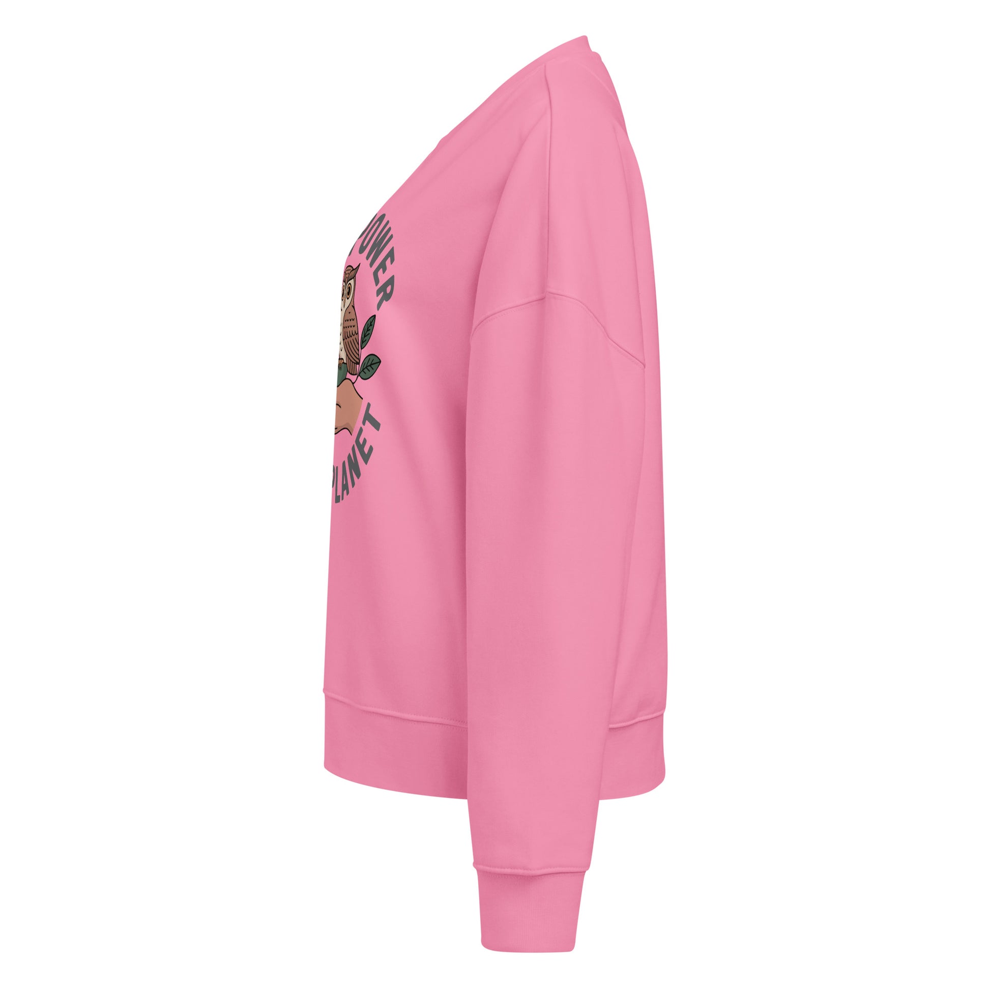 Women’s organic crew neck sweatshirt Dudeily