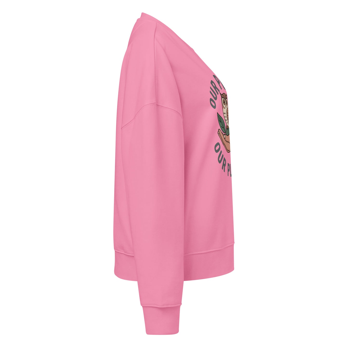 Women’s organic crew neck sweatshirt Dudeily