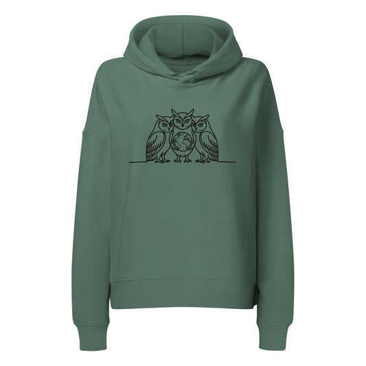 Unisex Organic Mid-Weight Hoodie – Minimal Owl Artwork | Sustainable Apparel Green Bay Dudeily